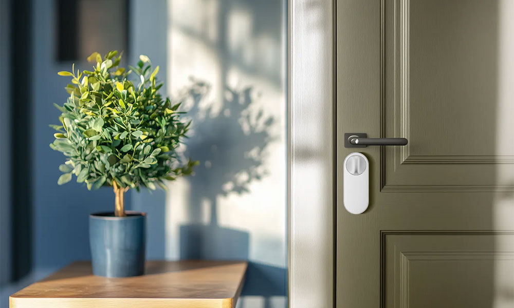 Güvenlik İçin Kapınızı Kilitlemek Yeterli mi?